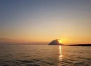 はっとりの画像