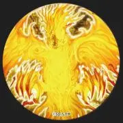 キョウの画像
