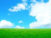 hmtꕤ︎︎の画像