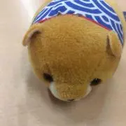 ナズ工房の画像