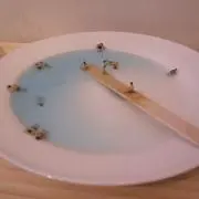 耳の画像