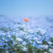 sandi hermawanの画像
