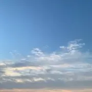 ぽんの画像