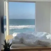 ちーの画像