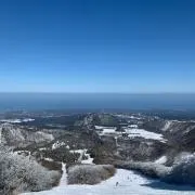 ブルの画像