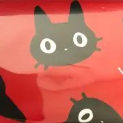 ねこの画像