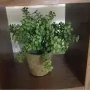 福