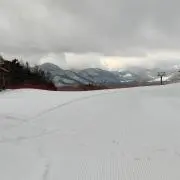 Rr