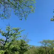 ryoの画像