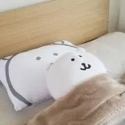 46