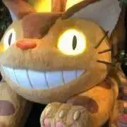 山猫iPhoneの画像