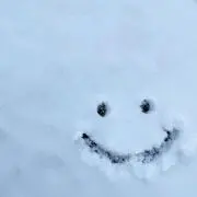 くるみの画像