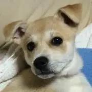 みや