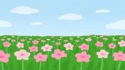 ちきんの画像