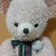 モカくまの画像