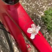 り