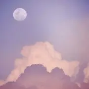 bunnyの画像