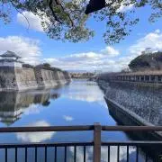 インヒの画像
