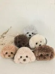 popoの画像