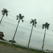 シガリロ☆