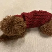 komugiの画像