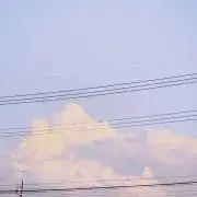 ヨン