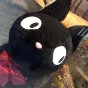 umm