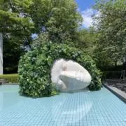 maa❁¨̮の画像