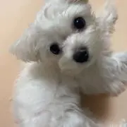 くるる〜プロフ必読お願い致しますの画像