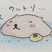 ぽっぽの画像