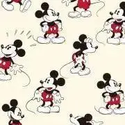☆RCS☆プロフ必読お願いします！の画像
