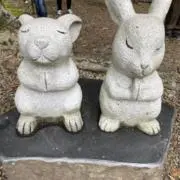 やな