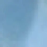 くろの画像