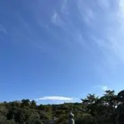 雪割草(プロフ必読)