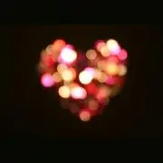 八月の花嫁の画像