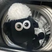 ごぽぽの画像
