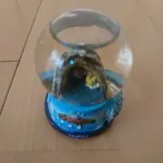 カンポス