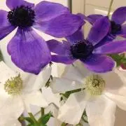 may7の画像