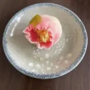 ぱんきちの画像