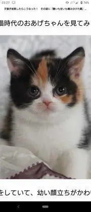 ひさあんの画像