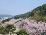 Qmの画像