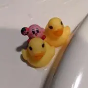 あのいがらす