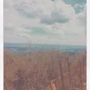 いっしんの画像
