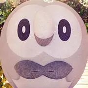 Toshiの画像