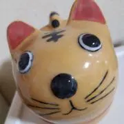 猫風呂の画像