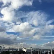 ハリケーン熊