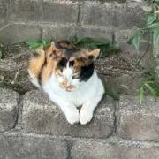 まさやんの画像