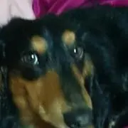 ヘルシー