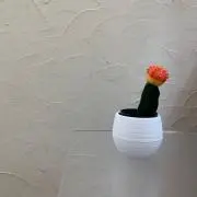 nonの画像