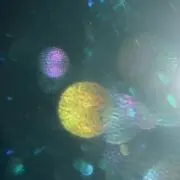 えれな